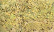 Vincent Van Gogh A Field of Yellow Flowers (nn04) oil painting picture wholesale